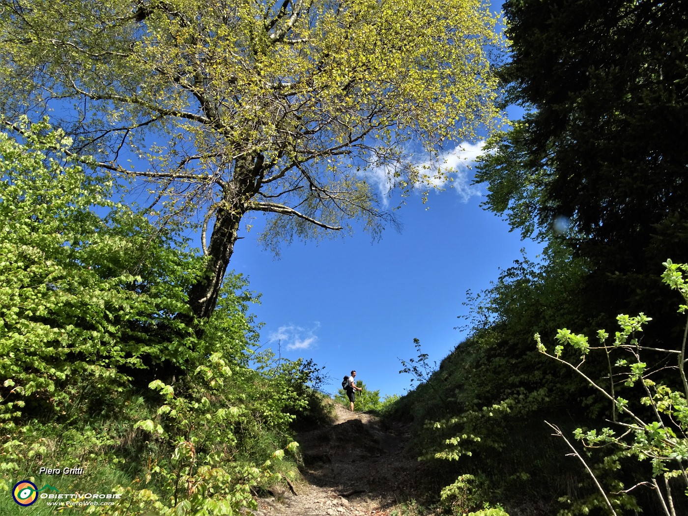 19 E siamo alla Bocchetta di Redondello (1363 m).JPG